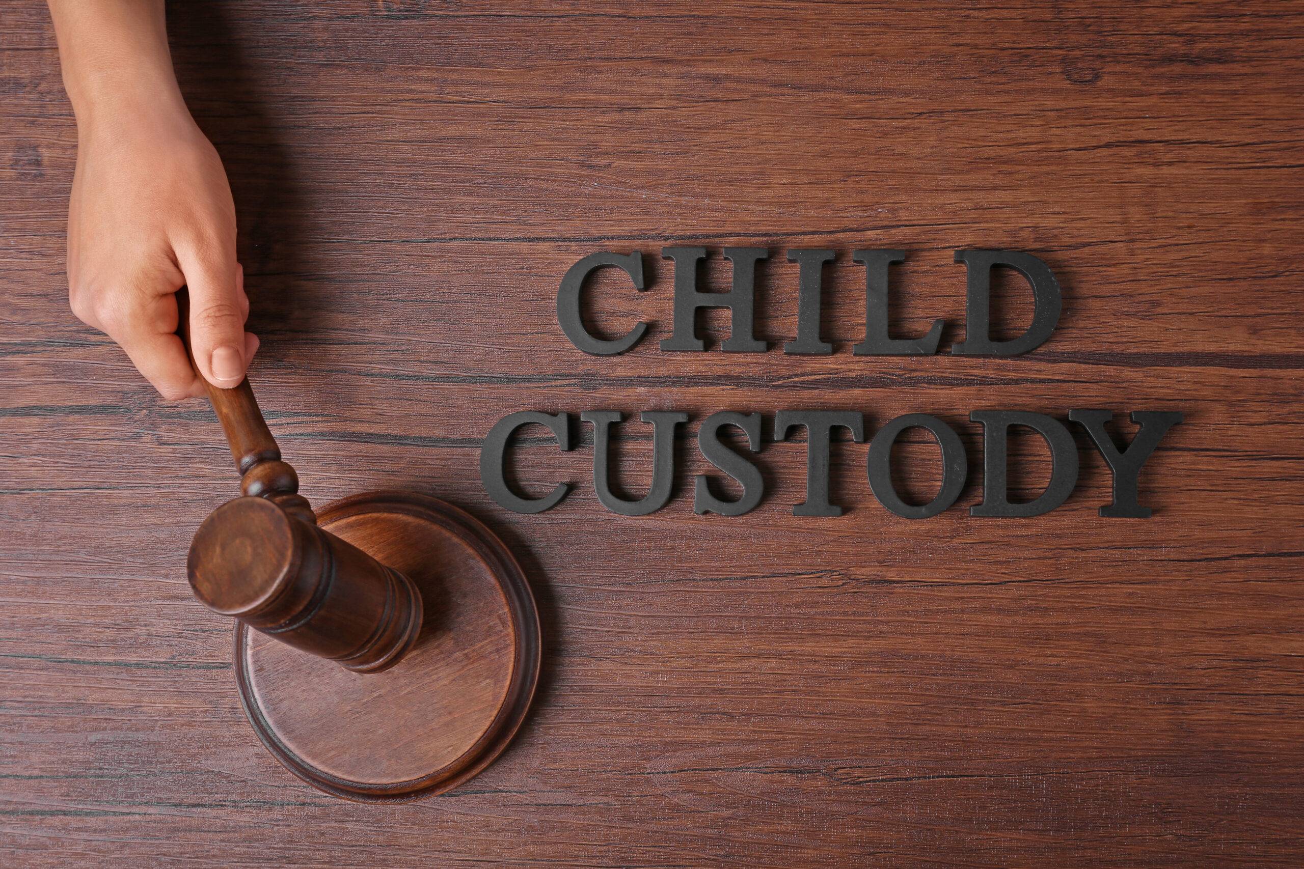 Child Custody Private Investigator